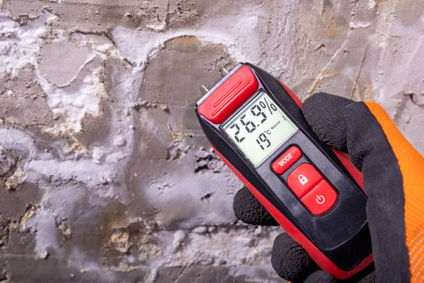 Best Fast Mold Removal  in Zion, PA