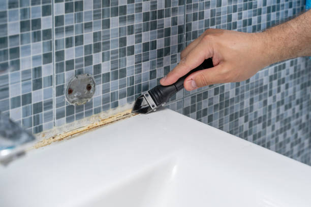 Best Affordable Mold Removal  in Zion, PA
