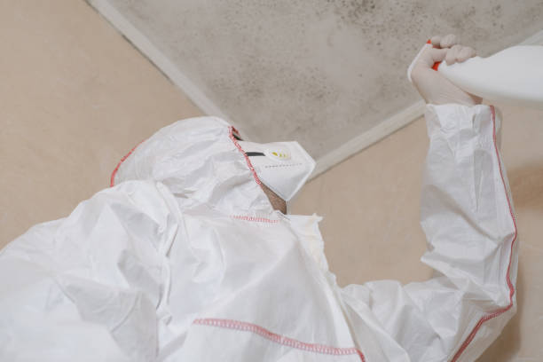 Best Mold Testing  in Zion, PA