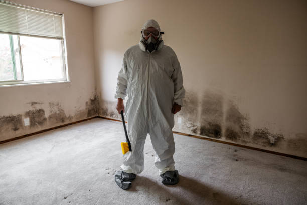 Zion, PA Mold Removal Company
